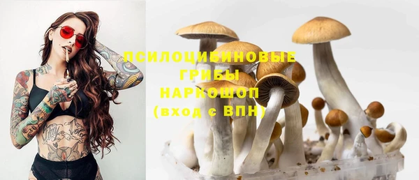 ГАЛЛЮЦИНОГЕННЫЕ ГРИБЫ Волосово