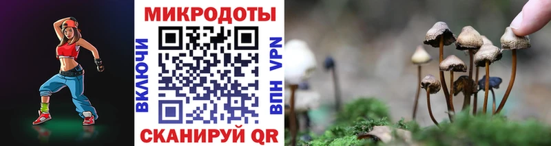 Купить где  Бузулук  Псилоцибиновые грибы мицелий 